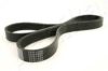 ASHIKA 112-5PK1085 V-Ribbed Belts